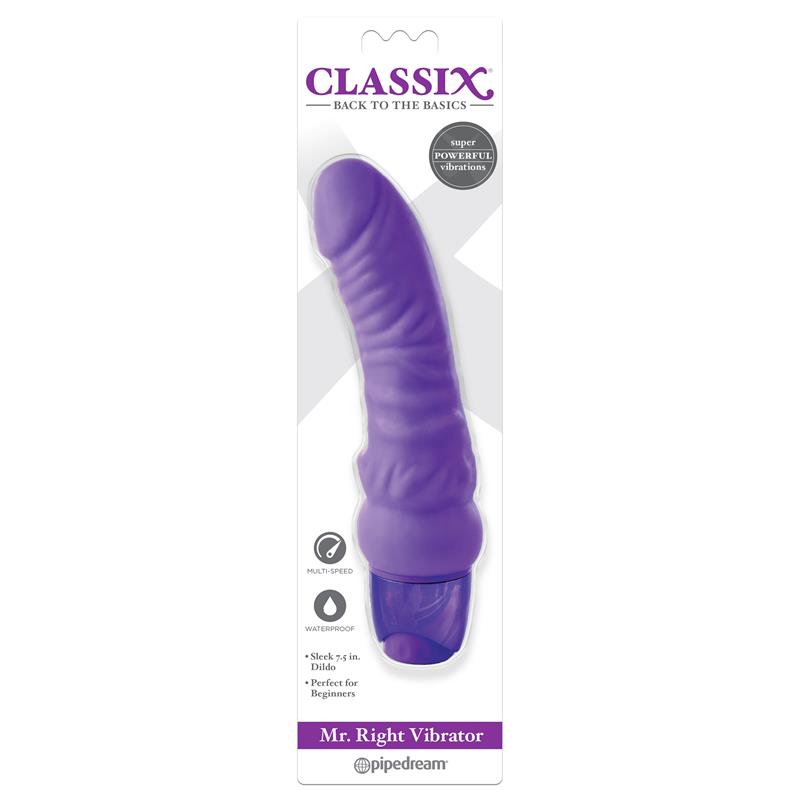 Vibrador Mr Right Purpura